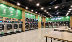 oasis laundry machines
